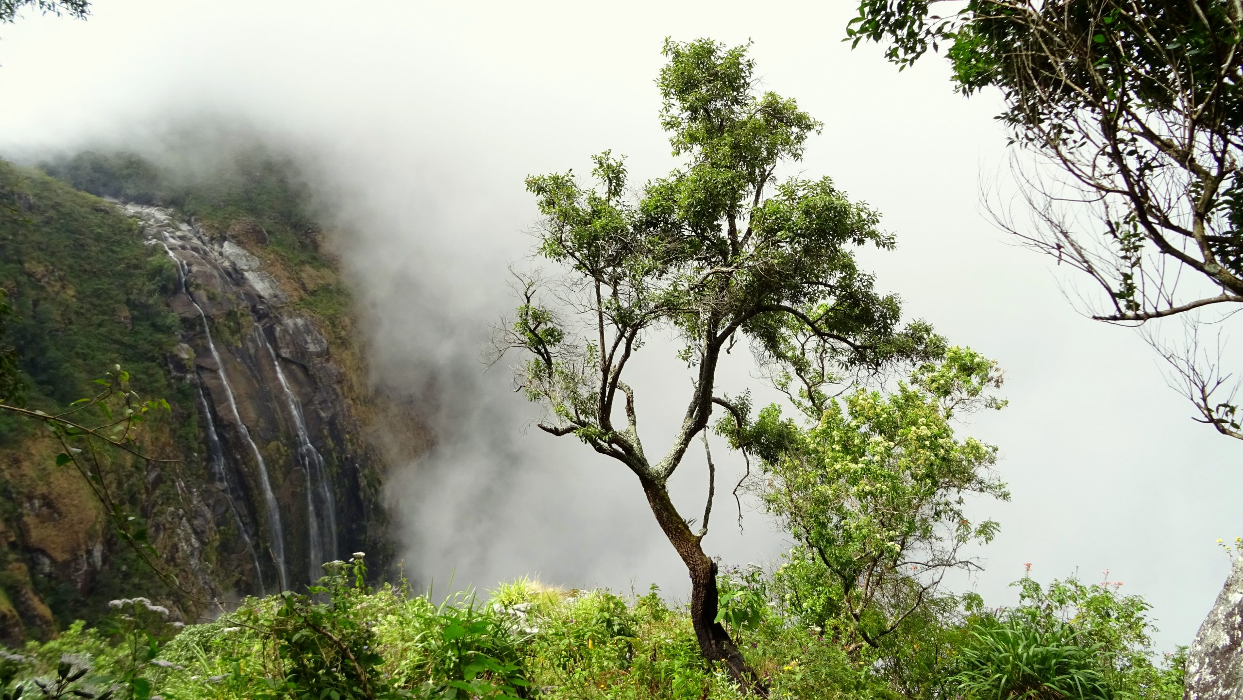 MAL_Landscape_Waterfall_2019_©RF_WeForest