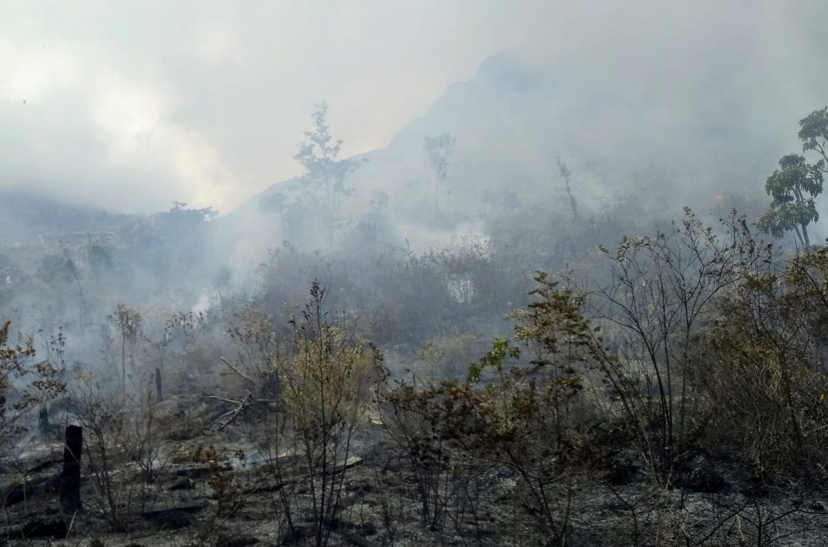 Malawi fires