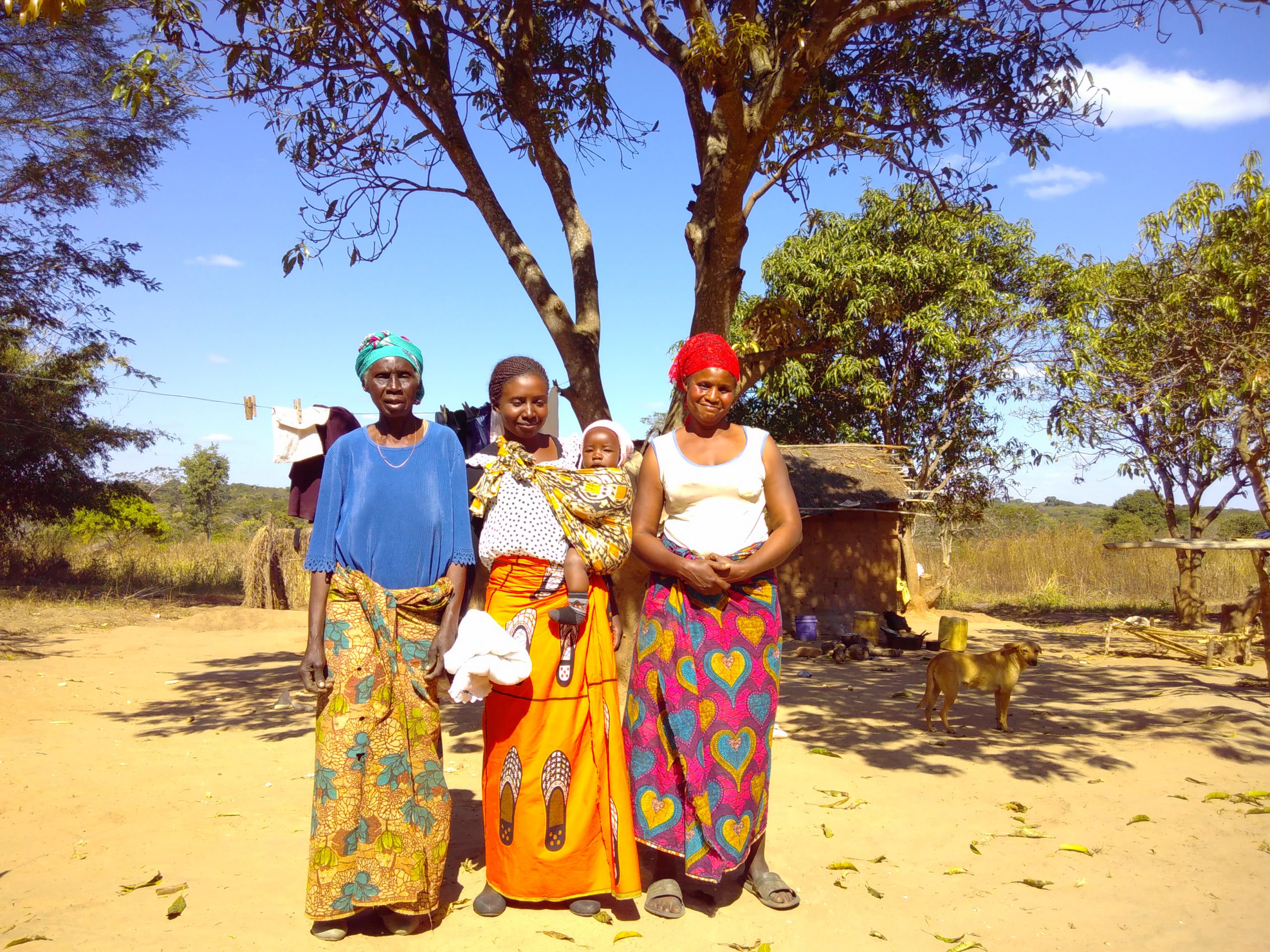 Sakani Malunga image