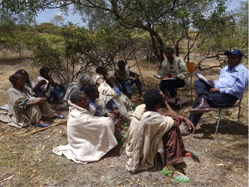 Tigray