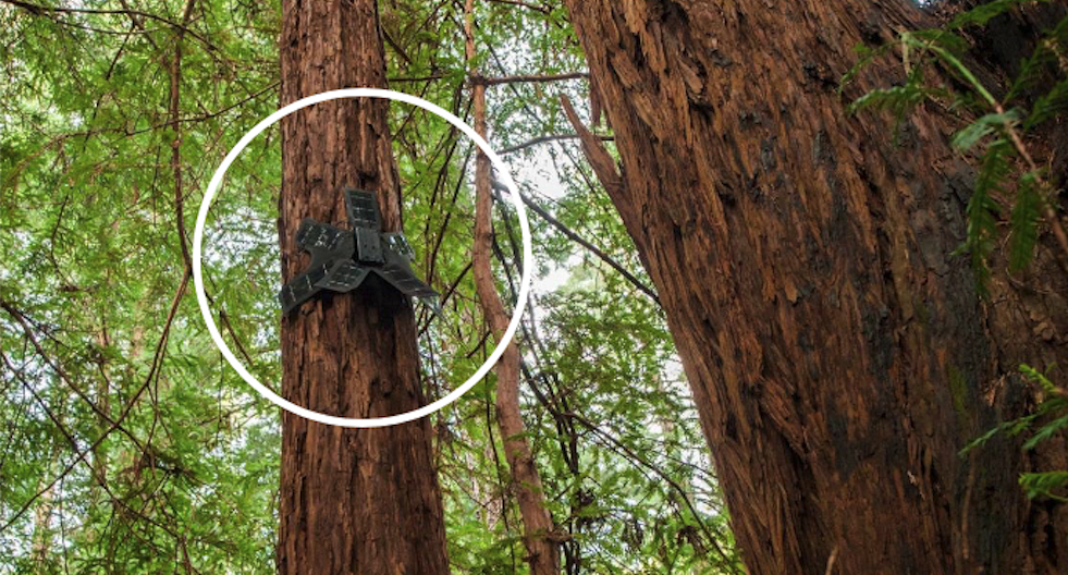 Tree technology
