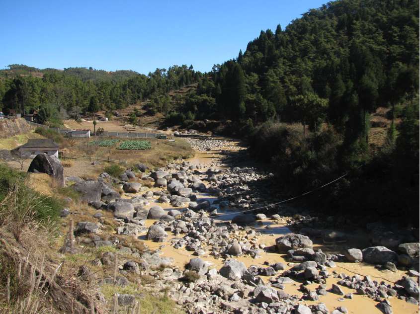 Understanding Forest-Water Connections in India