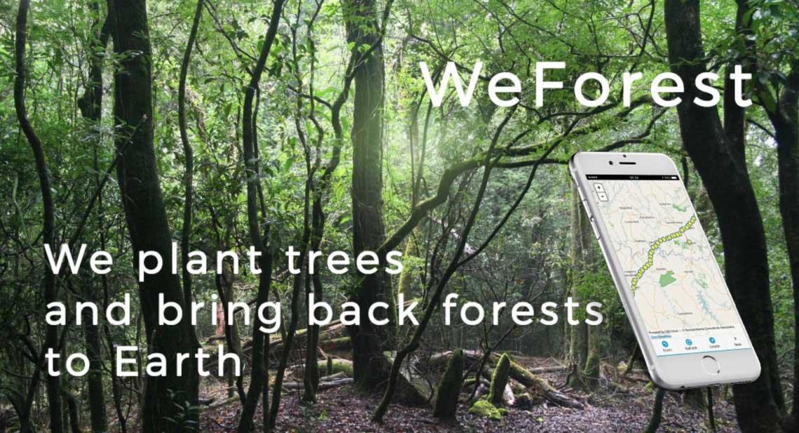 WeForest-Zambia-data-collection-GIS_LD