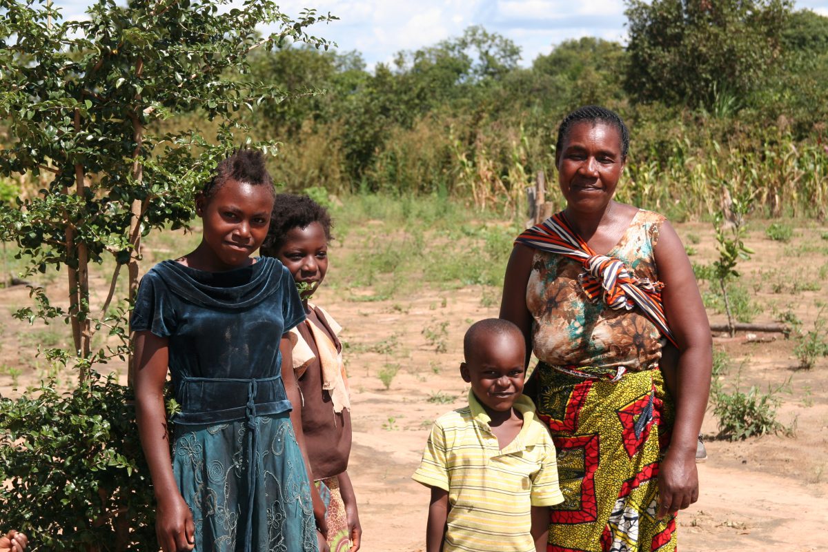 Zambia
