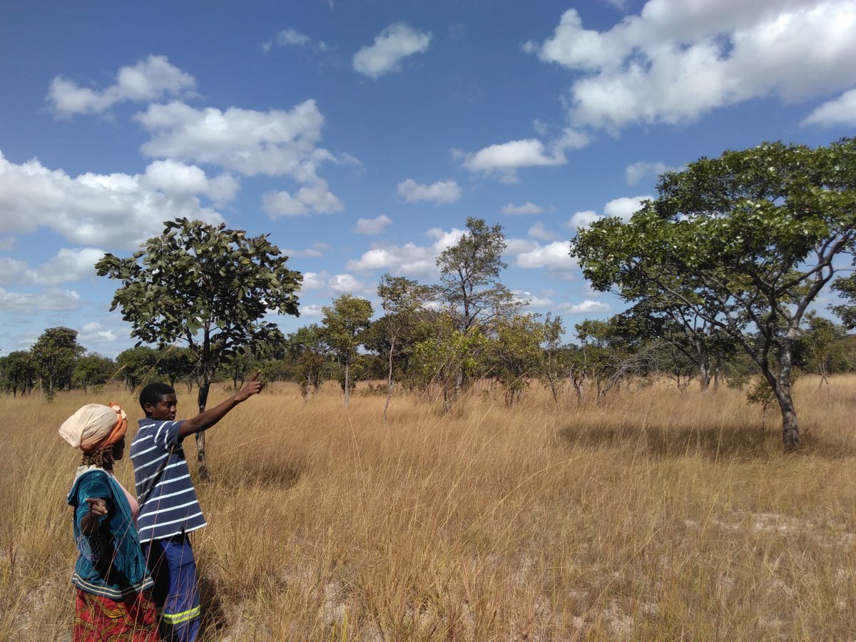 ZAM_DeforestedLand_May2016