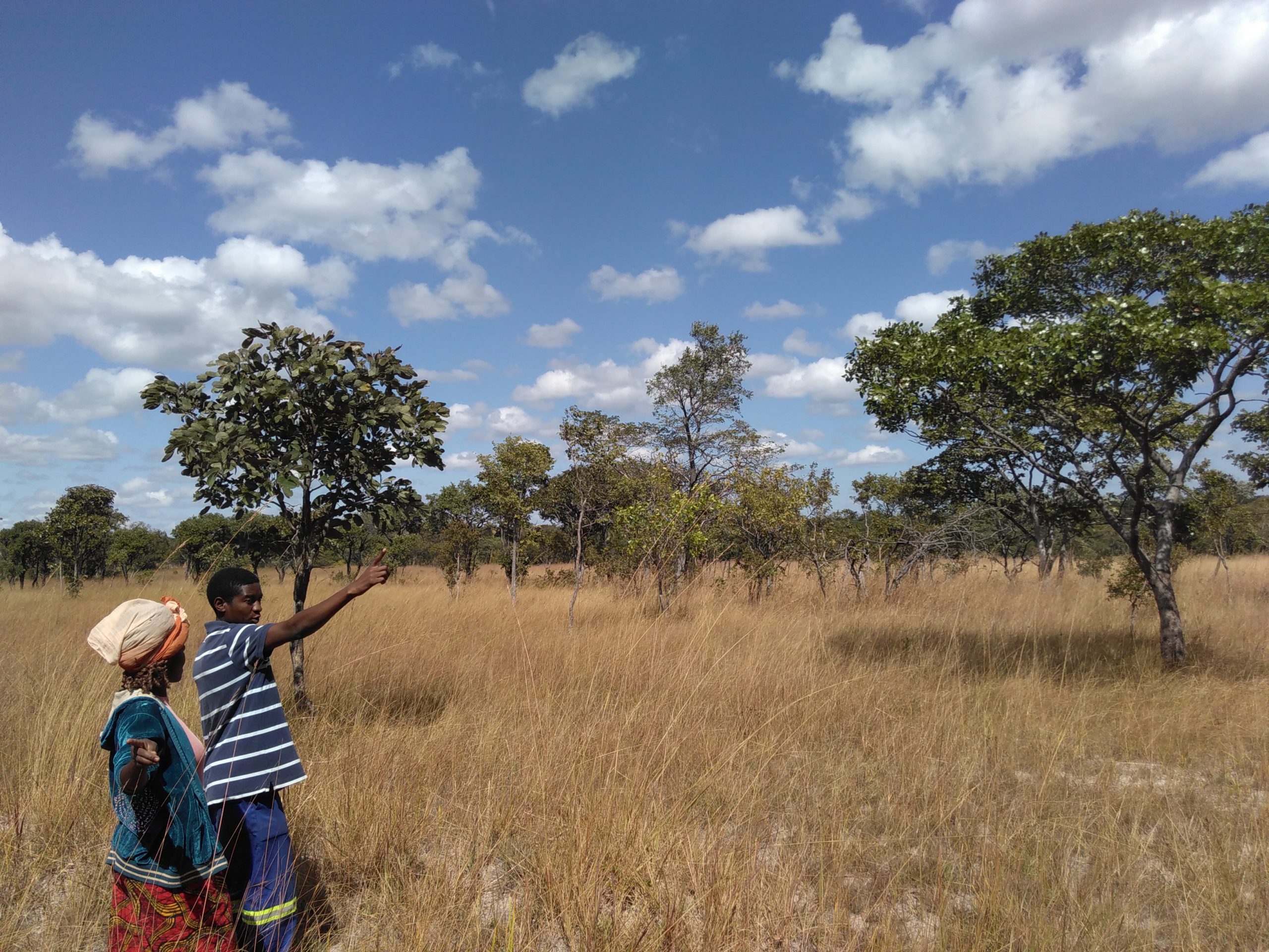 ZAM_DeforestedLand_May2016