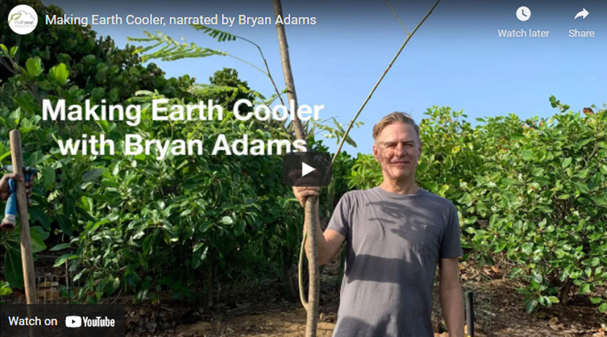 Making Earth Cooler WeForest