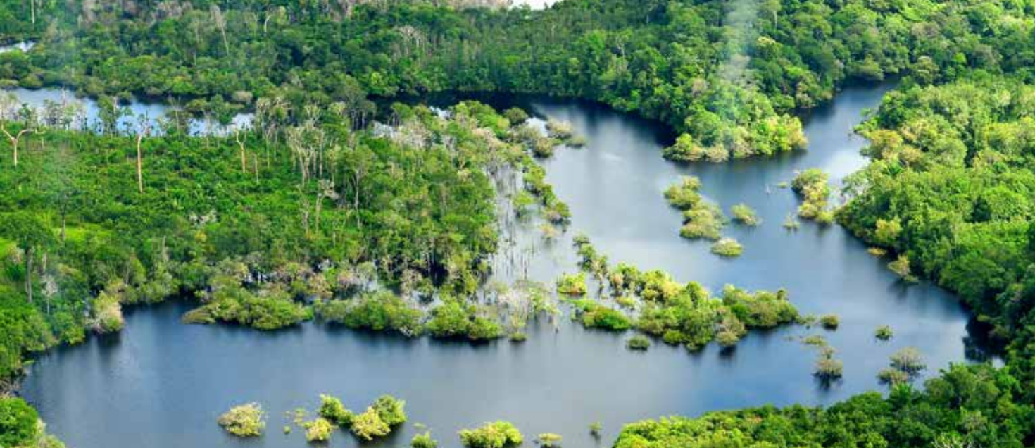 forests_and_water3