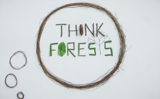 think_forests
