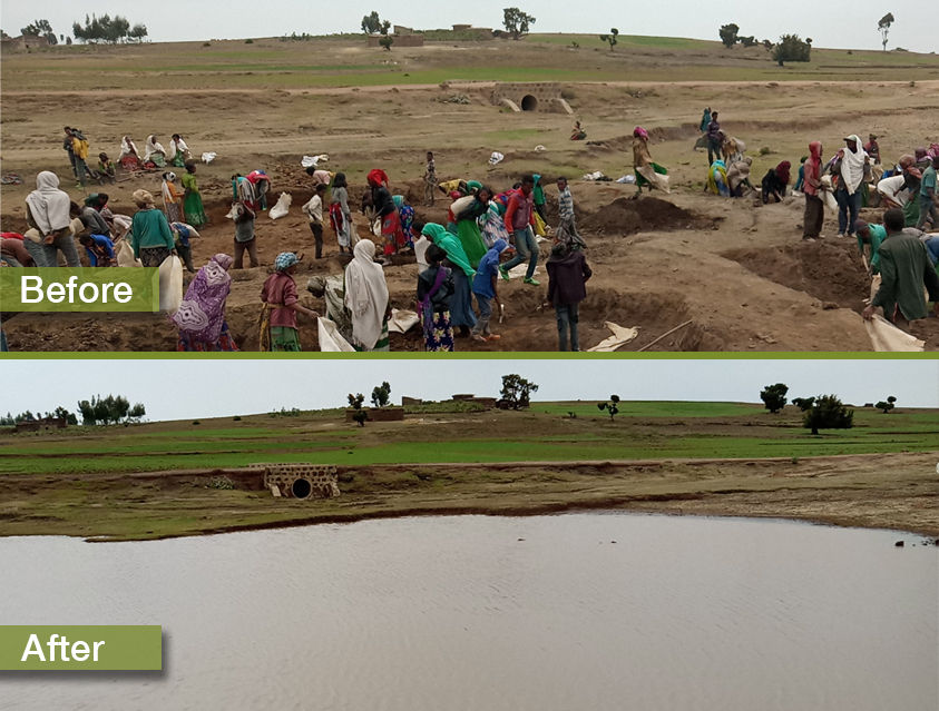 waterharvesting