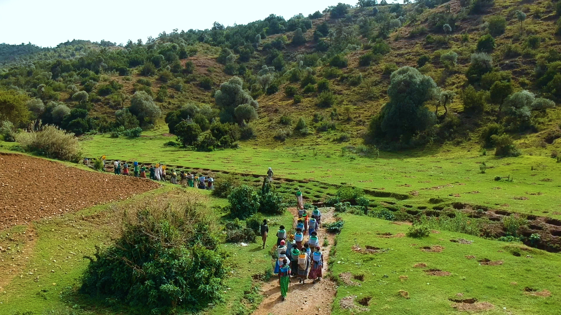 Women on their way to planting site