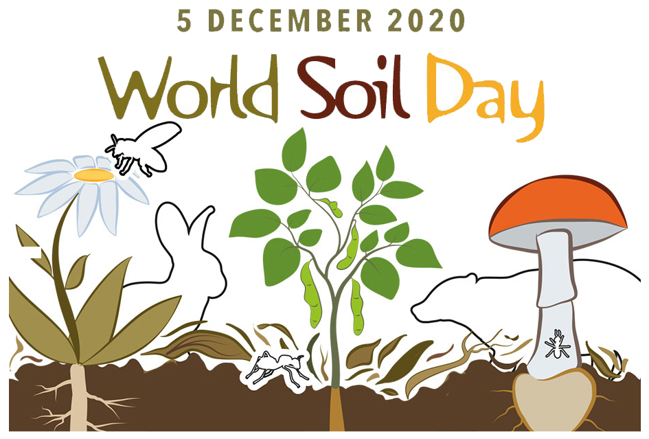 worldsoilday